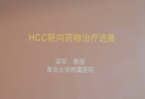 [CSCO2014]HCC靶向药物治疗进展——梁军精彩演讲